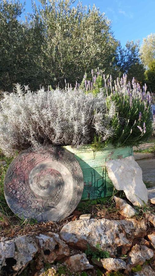 הוילה Tulisevica Mary'S Garden מראה חיצוני תמונה