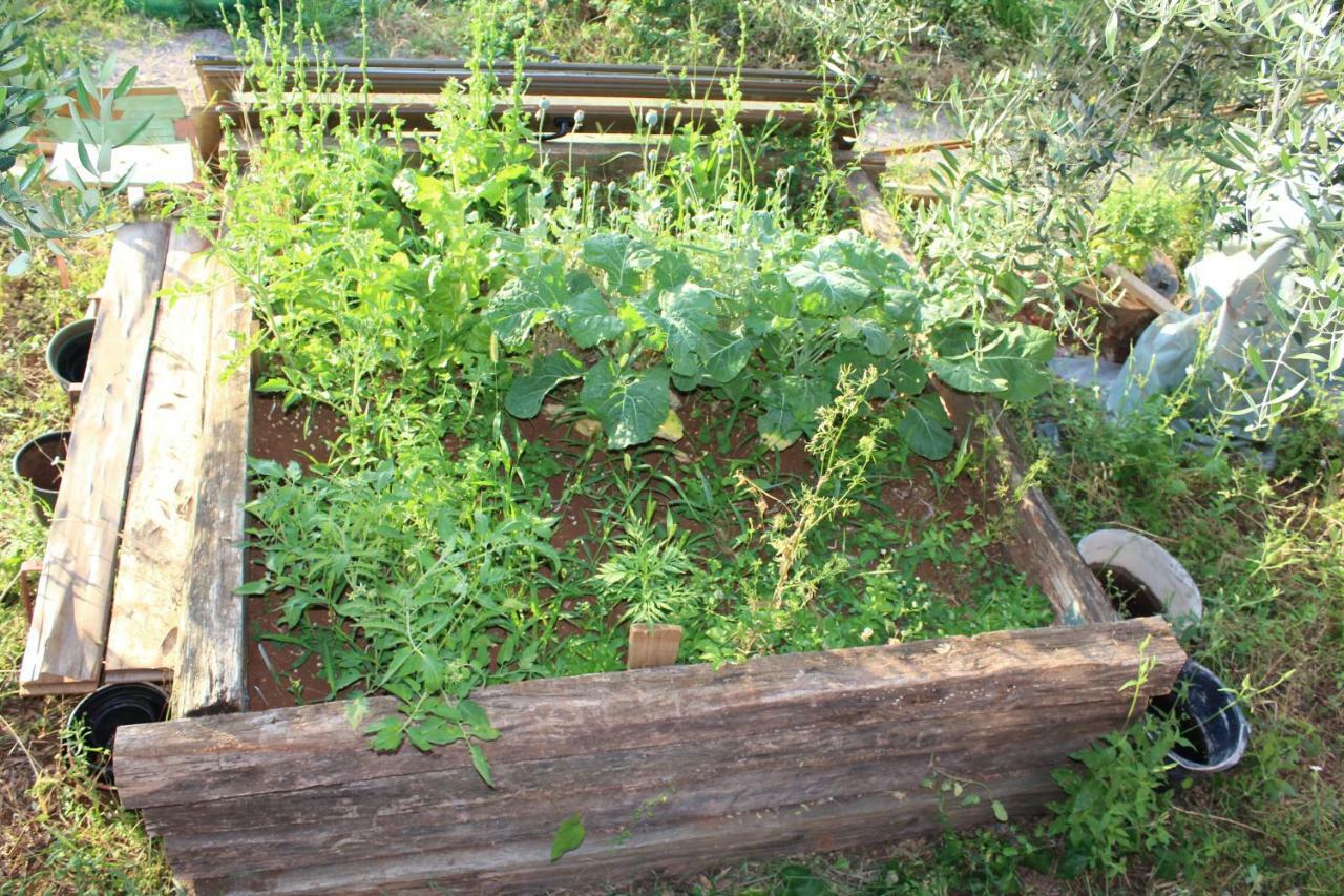 הוילה Tulisevica Mary'S Garden מראה חיצוני תמונה