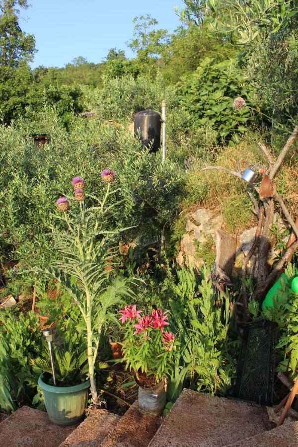 הוילה Tulisevica Mary'S Garden מראה חיצוני תמונה