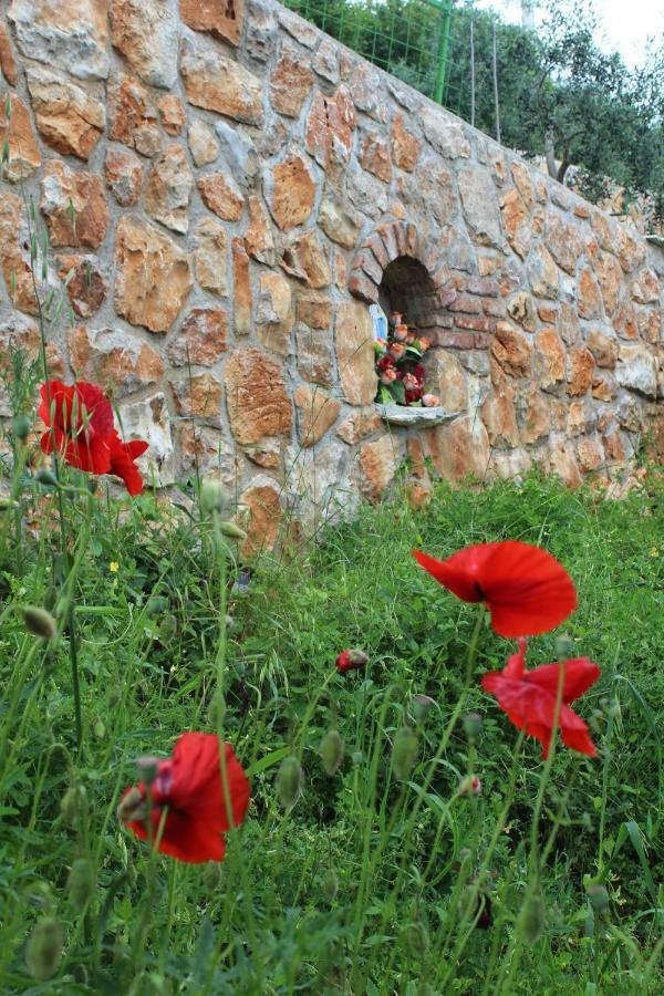 הוילה Tulisevica Mary'S Garden מראה חיצוני תמונה