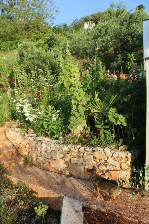 הוילה Tulisevica Mary'S Garden מראה חיצוני תמונה